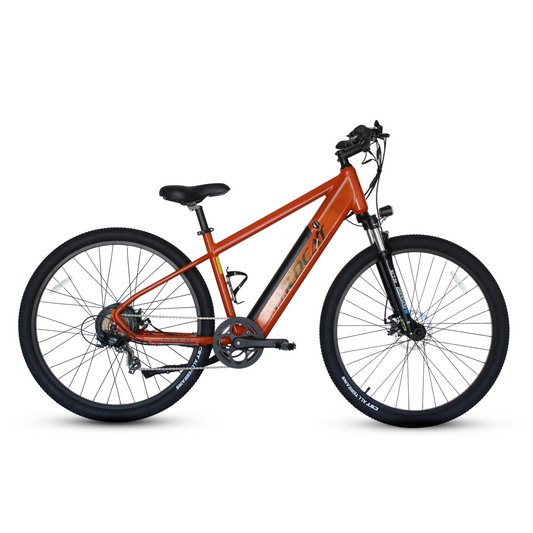 Wildcat Panther 18" E-MTB 29er Orange